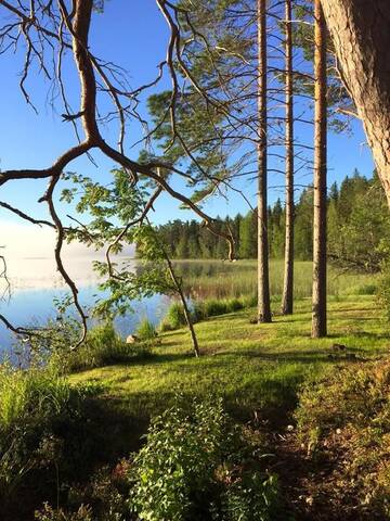 Фото номера Дом для отпуска Дома для отпуска Villa Hiili г. Эхтяри 25