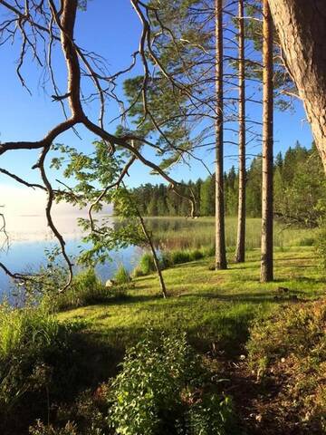 Фото номера Дом для отпуска Дома для отпуска Villa Hiili г. Эхтяри 64