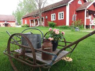 Фото Фермерские дома Valkeisen Loma г. Эхтяри